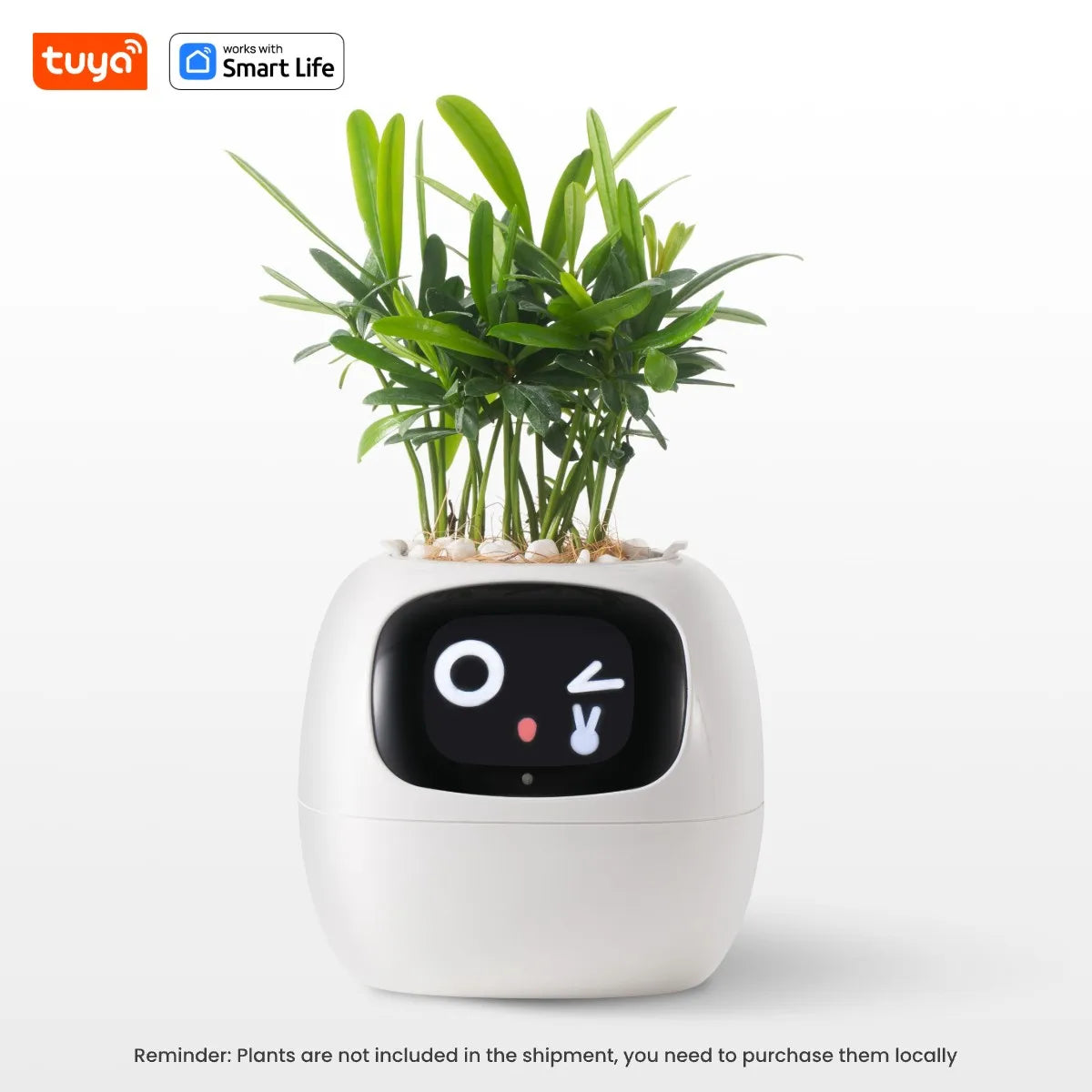 Plantmoodie - AI Smart Planter