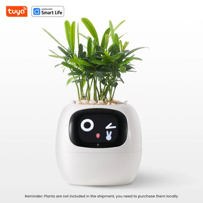 Plantmoodie - AI Smart Planter