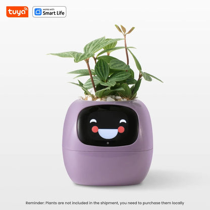 Plantmoodie - AI Smart Planter