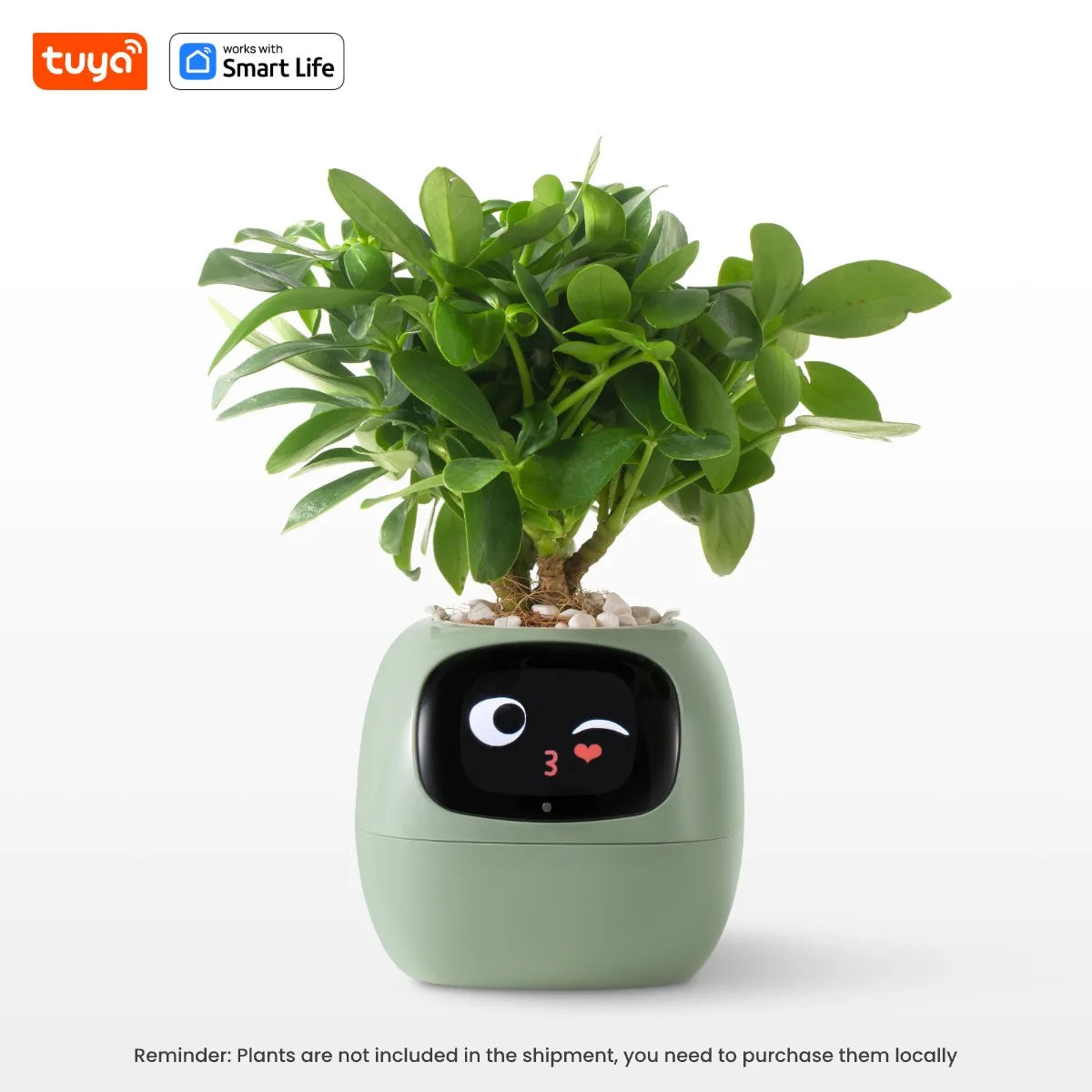 Plantmoodie - AI Smart Planter