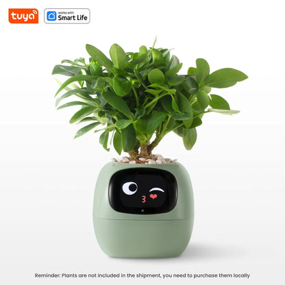 Plantmoodie - AI Smart Planter