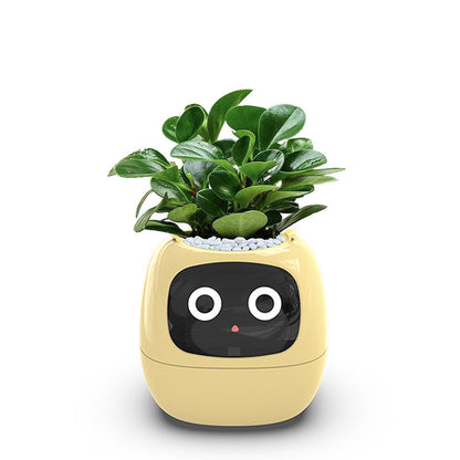 USB rechargeable automatic water-absorbing flowerpot